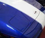 dsc00020-vi