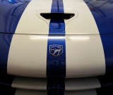 dsc00046-vi