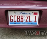 2002-helen-gibb-zl1-027
