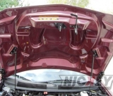 2002-helen-gibb-zl1-052