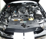 2007-ford-shelby-gt500-mustang-black-052