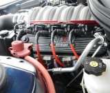 2012-yellow-convertible-2012-imperial-blue-coupe-113