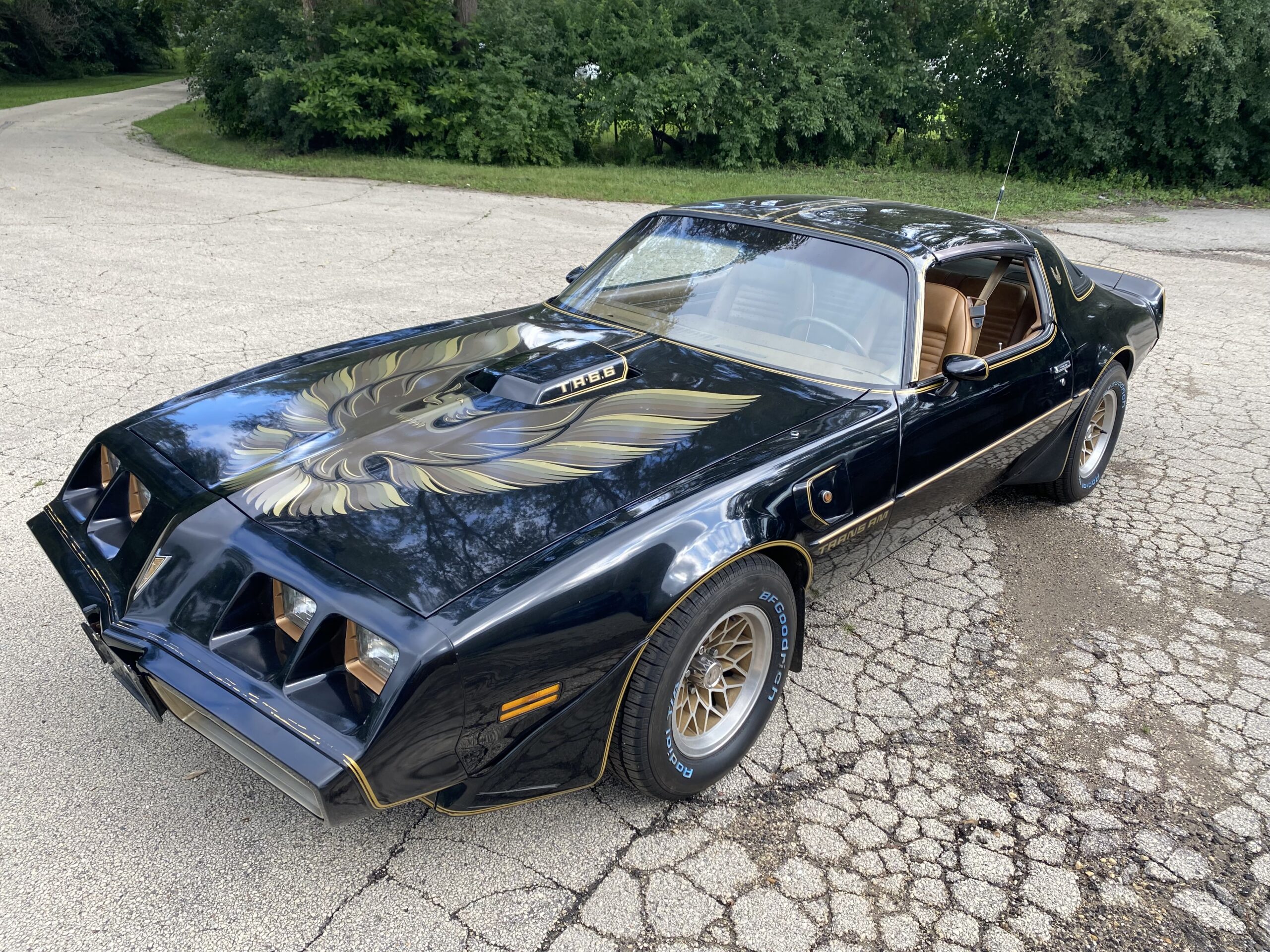 1979 Pontiac Firebird Trans Am SE