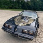 Gold screaming chicken hood decal on a 1979 Pontiac Trans Am SE