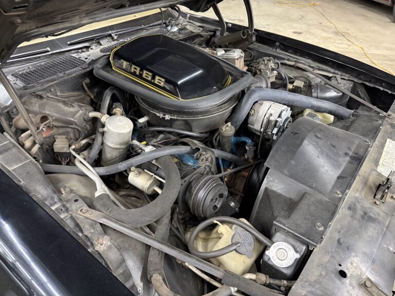 1979 Pontiac Firebird Trans Am SE engine bay