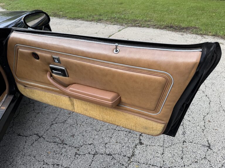 1979 Pontiac Firebird Trans Am SE door panel in camel with gold accents