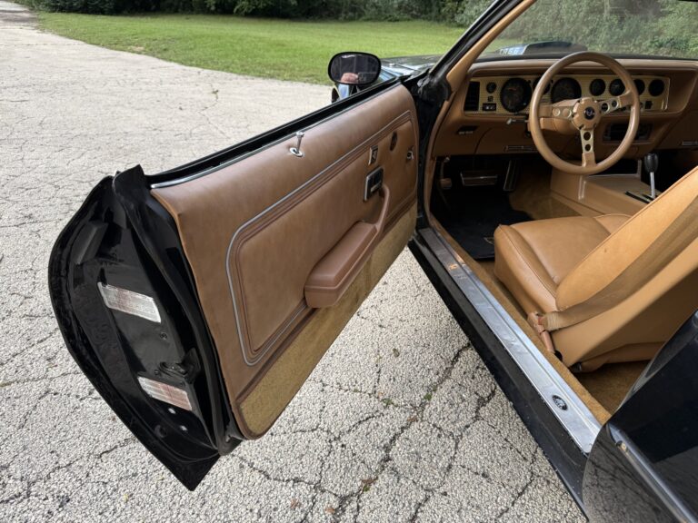 1979 Pontiac Firebird Trans Am SE, door open interior