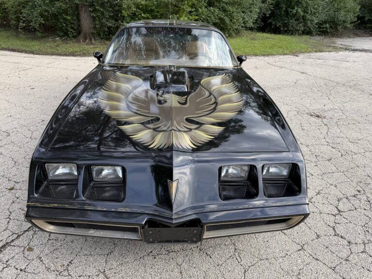 1979 Pontiac Firebird Trans Am SE, front hood bird