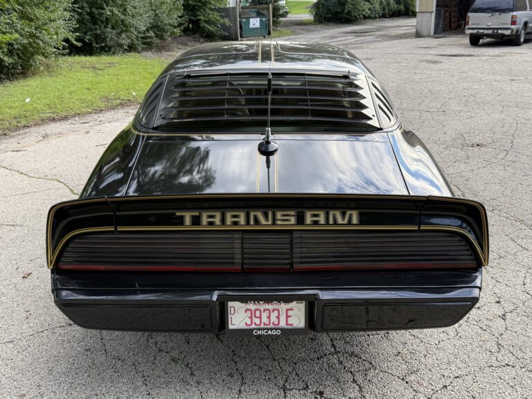 1979 Pontiac Firebird Trans Am SE, rear spoiler and plate