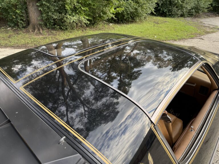 1979 Pontiac Firebird Trans Am SE, roof and t tops